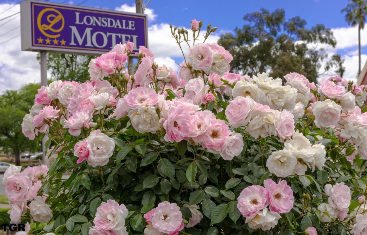 Hamilton Lonsdale Motel Exterior photo